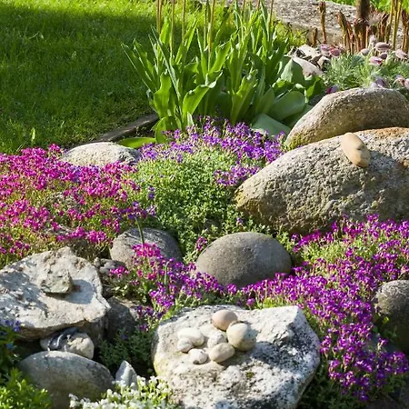 Maximilian Ξενοδοχείο Mayrhofen
